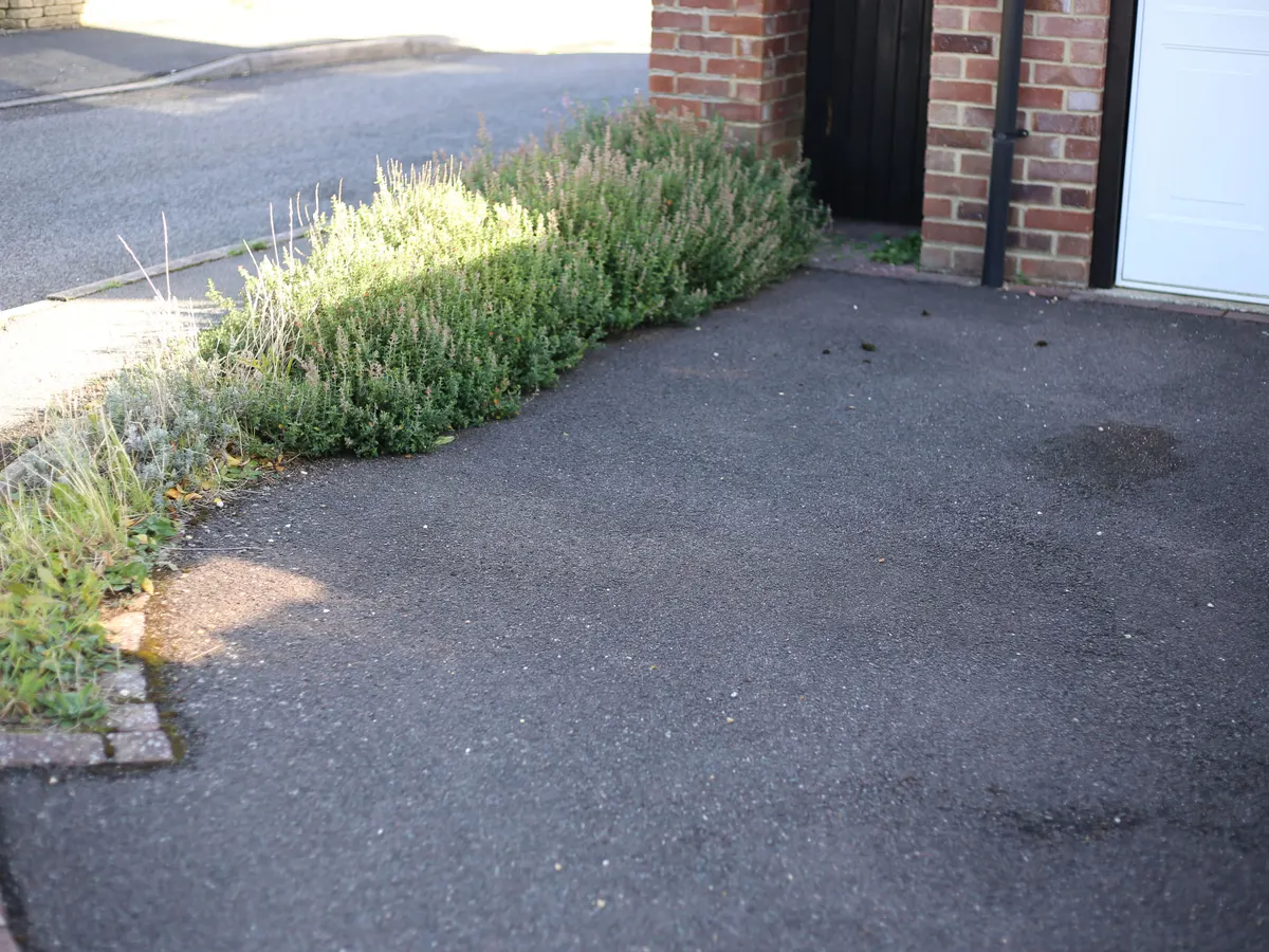 Tarmac driveway leading to a garage with planting alongside